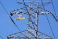Chopper Bob High Wire1